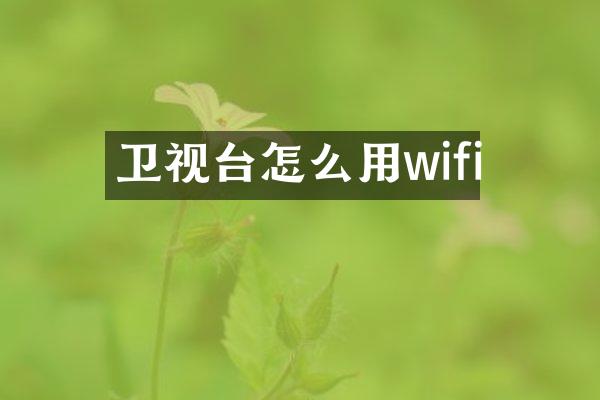 卫视台怎么用wifi