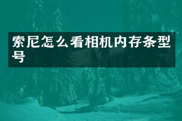 索尼怎么看相机内存条型号