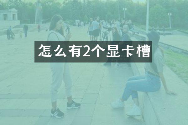怎么有2个显卡槽
