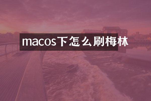 macos下怎么刷梅林