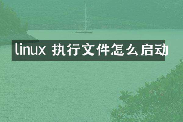 linux 执行文件怎么启动