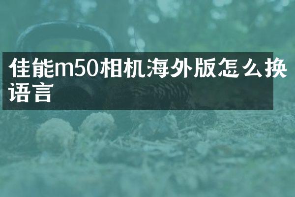 佳能m50相机海外版怎么换语言
