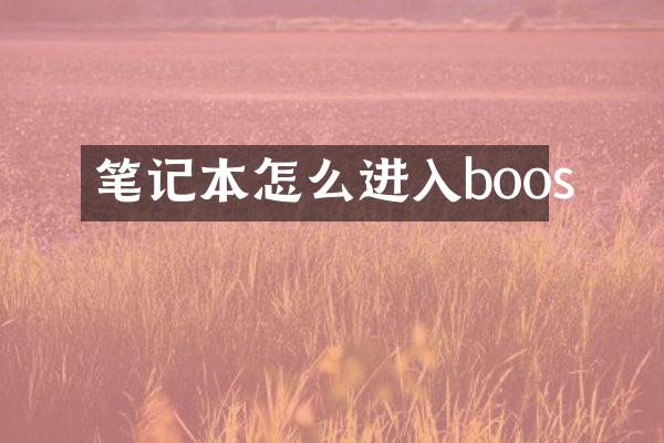 笔记本怎么进入boos
