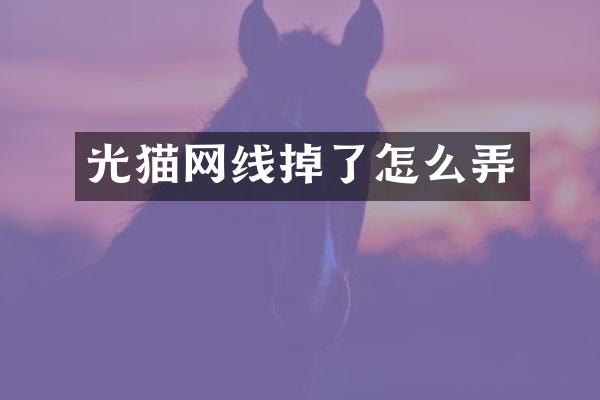 光猫网线掉了怎么弄