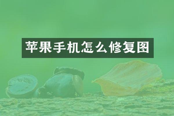 苹果手机怎么修复图