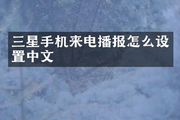 三星手机来电播报怎么设置中文