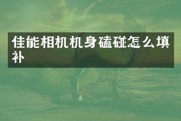 佳能相机机身磕碰怎么填补