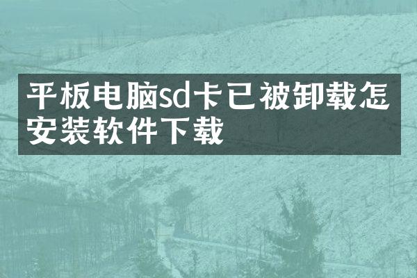 平板电脑sd卡已被卸载怎么安装软件下载
