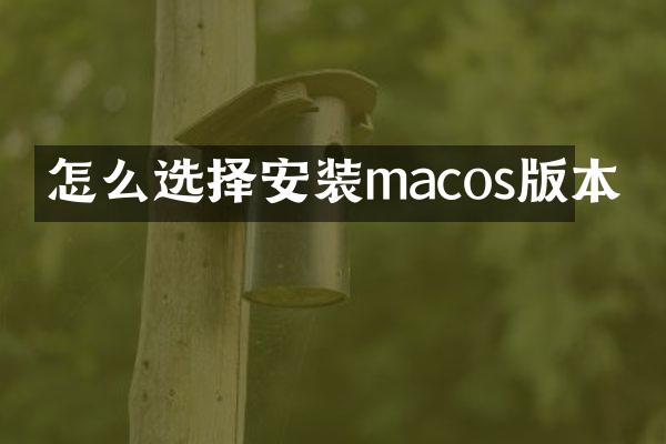 怎么选择安装macos版本