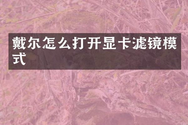 戴尔怎么打开显卡滤镜模式