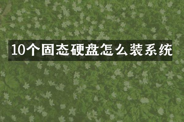 10个固态硬盘怎么装系统
