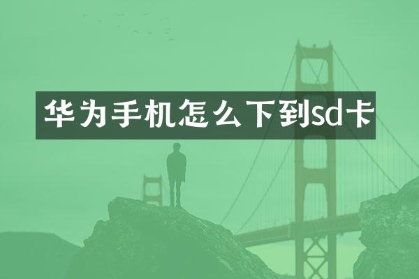 华为手机怎么下到sd卡