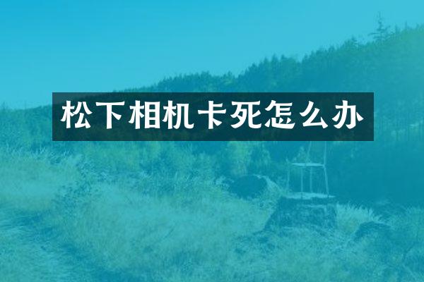 松下相机卡死怎么办
