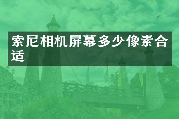 索尼相机屏幕多少像素合适