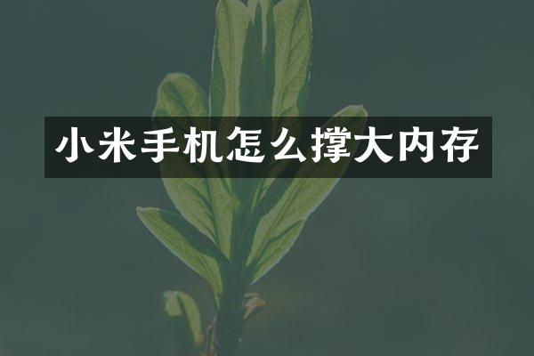 小米手机怎么撑大内存