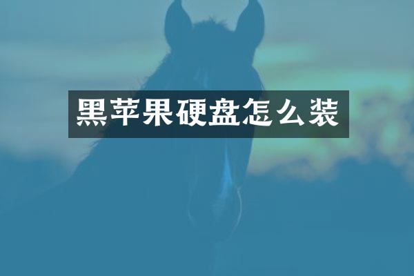 黑苹果硬盘怎么装