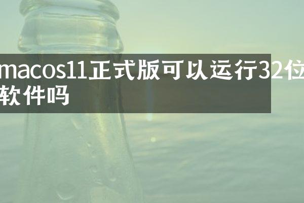 macos11正式版可以运行32位软件吗