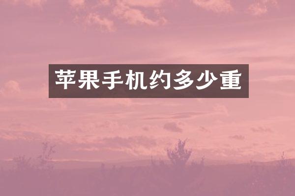 苹果手机约多少重