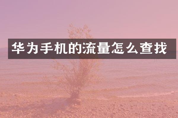华为手机的流量怎么查找