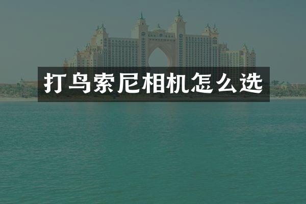 打鸟索尼相机怎么选
