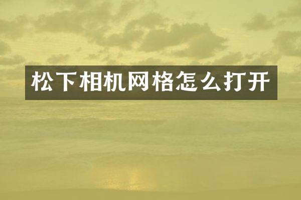 松下相机网格怎么打开