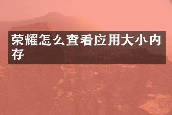 荣耀怎么查看应用大小内存