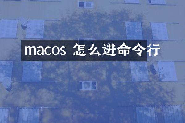 macos 怎么进命令行