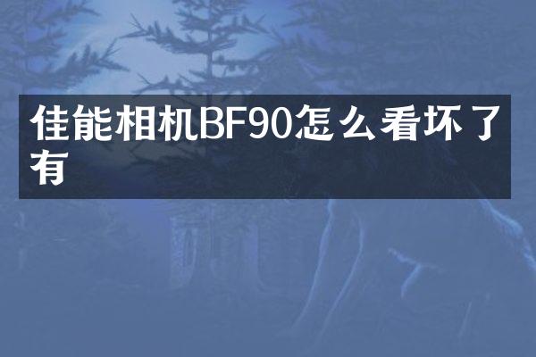 佳能相机BF90怎么看坏了没有