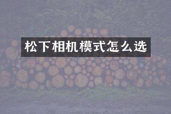 松下相机模式怎么选