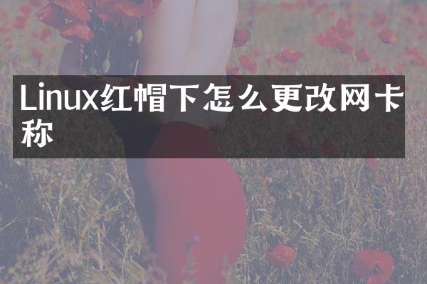 Linux红帽下怎么更改网卡名称
