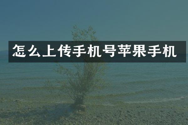 怎么上传手机号苹果手机