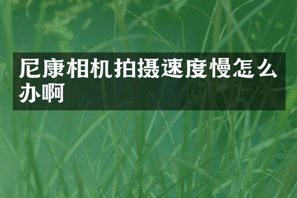 尼康相机拍摄速度慢怎么办啊