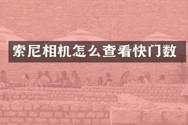 索尼相机怎么查看快门数