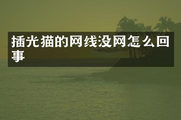 插光猫的网线没网怎么回事