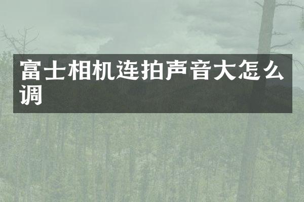 富士相机连拍声音大怎么调