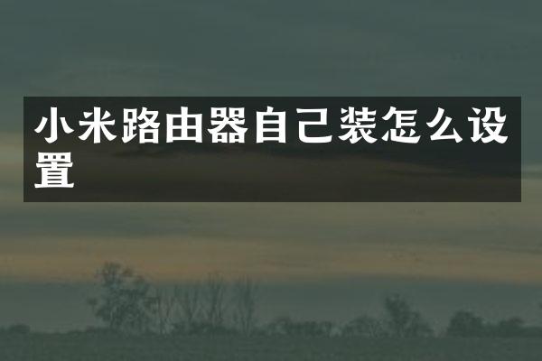 小米路由器自己装怎么设置