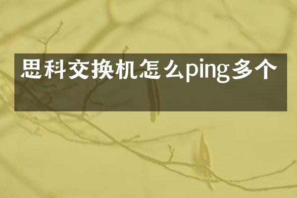 思科交换机怎么ping多个包