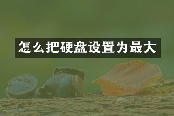 怎么把硬盘设置为最大