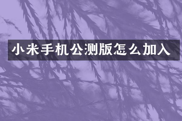 小米手机公测版怎么加入