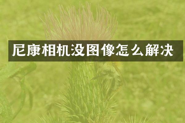 尼康相机没图像怎么解决