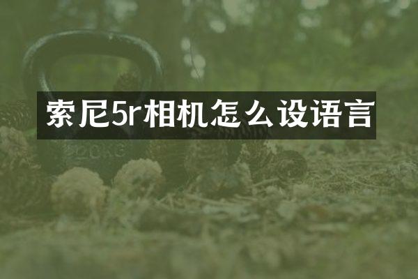 索尼5r相机怎么设语言