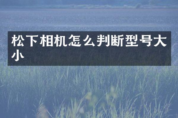 松下相机怎么判断型号大小