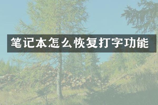 笔记本怎么恢复打字功能