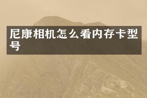 尼康相机怎么看内存卡型号