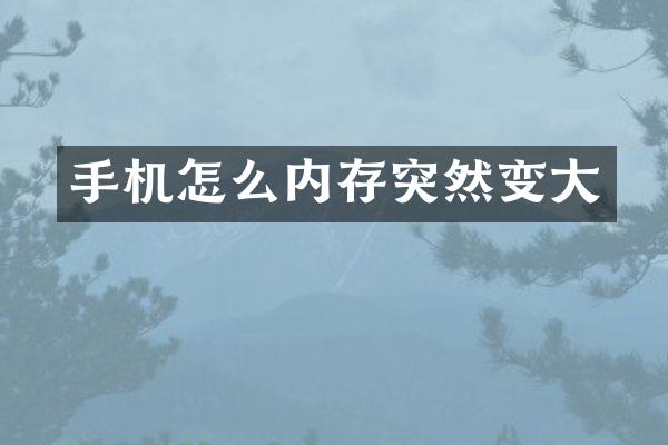 手机怎么内存突然变大