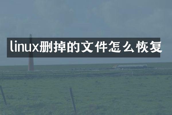linux删掉的文件怎么恢复