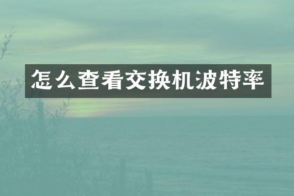 怎么查看交换机波特率