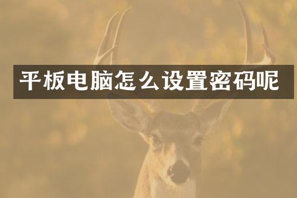 平板电脑怎么设置密码呢