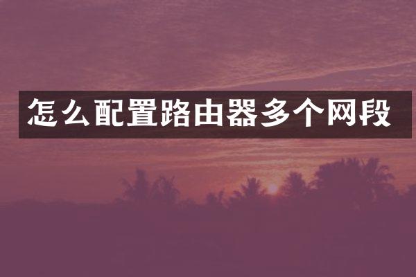 怎么配置路由器多个网段