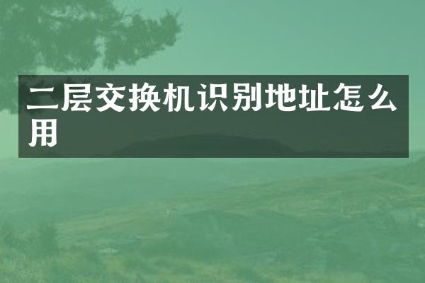 二层交换机识别地址怎么用
